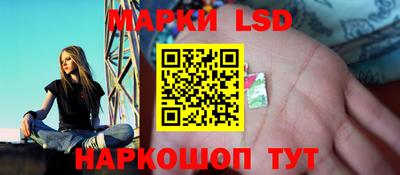 гидропоника Тверь