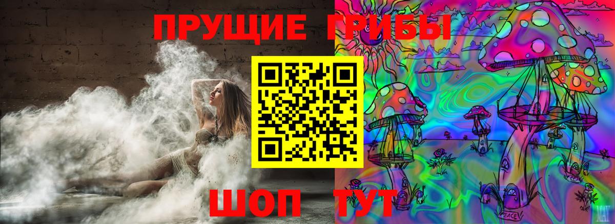 Псилоцибиновые грибы Psilocybine cubensis  Вход с VPN  наркошоп  Мценск 